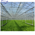 Leon series best price hot sale greenhouse